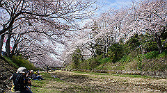 dsc00400_thumb.jpg