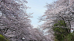 dsc00402_thumb.jpg