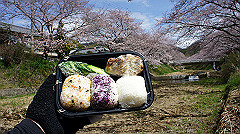 dsc00405_thumb.jpg