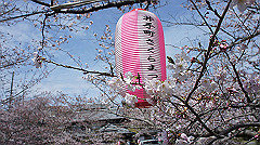 dsc00410_thumb.jpg