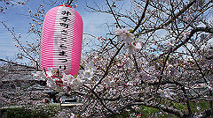 dsc00411_thumb.jpg
