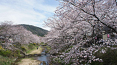 dsc00413_thumb.jpg