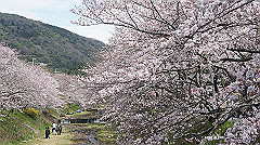 dsc00414_thumb.jpg