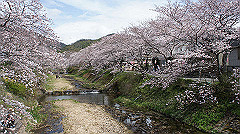 dsc00415_thumb.jpg