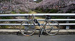 dsc00417_thumb.jpg