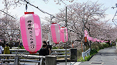 dsc00420_thumb.jpg