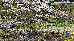 dsc00424_thumb.jpg