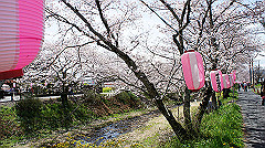 dsc00426_thumb.jpg
