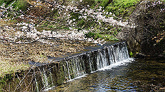 dsc00427_thumb.jpg