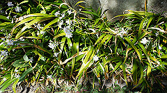 dsc00434_thumb.jpg