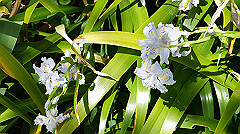 dsc00435_thumb.jpg