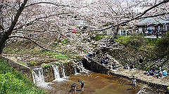 dsc00437_thumb.jpg