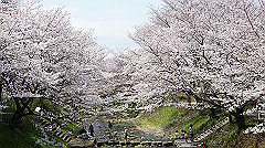 dsc00441_thumb.jpg