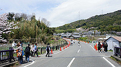dsc00442_thumb.jpg