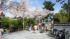 dsc00471_thumb.jpg