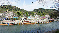 dsc00477_thumb.jpg