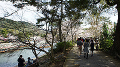 dsc00478_thumb.jpg