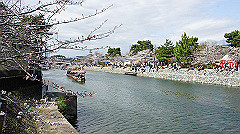 dsc00481_thumb.jpg