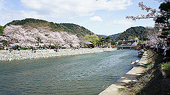 dsc00486_thumb.jpg