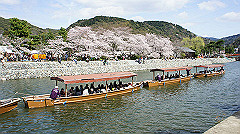 dsc00488_thumb.jpg