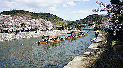 dsc00490_thumb.jpg