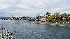 dsc00505_thumb.jpg