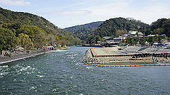 dsc00509_thumb.jpg