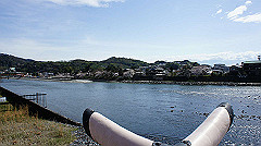 dsc00513_thumb.jpg