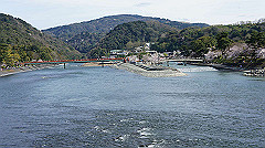 dsc00515_thumb.jpg