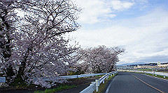 dsc00519_thumb.jpg