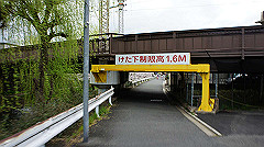 dsc00529_thumb.jpg