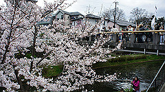 dsc00532_thumb.jpg