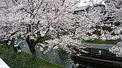 dsc00533_thumb.jpg