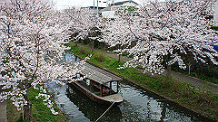 dsc00537_thumb.jpg