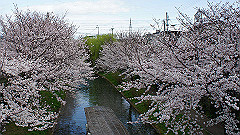 dsc00539_thumb.jpg