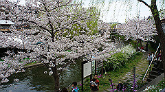dsc00540_thumb.jpg