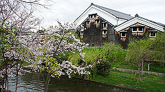 dsc00542_thumb.jpg