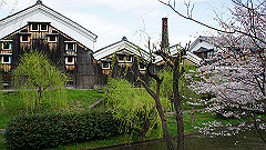 dsc00543_thumb.jpg