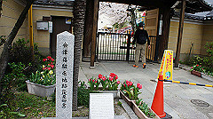 dsc00556_thumb.jpg