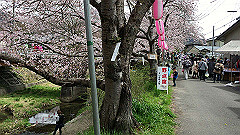 img_4169_thumb.jpg