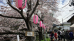 img_4171_thumb.jpg