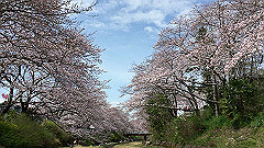 img_4180_thumb.jpg