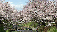 img_4183_thumb.jpg
