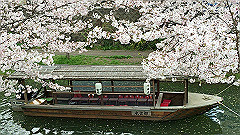 img_4196_thumb.jpg