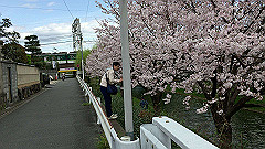 img_4197_thumb.jpg