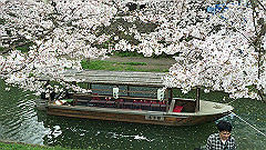 img_4198_thumb.jpg