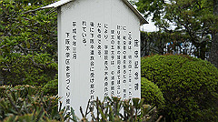 dsc00716_thumb.jpg