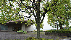 dsc00723_thumb.jpg