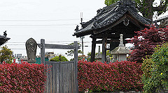 dsc00727_thumb.jpg