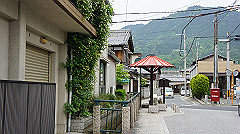 dsc00728_thumb.jpg
